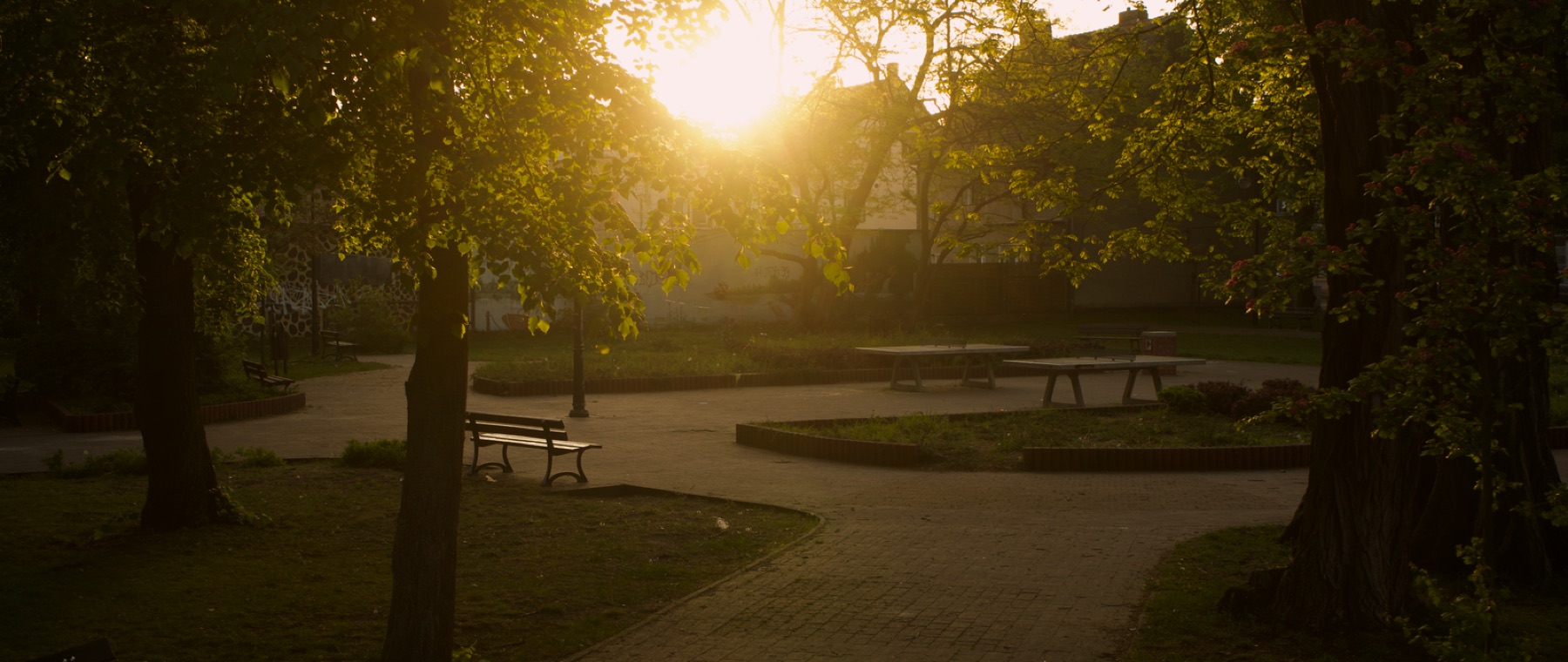 Park przy kościele o świcie, ławki i drzewa pod światło.